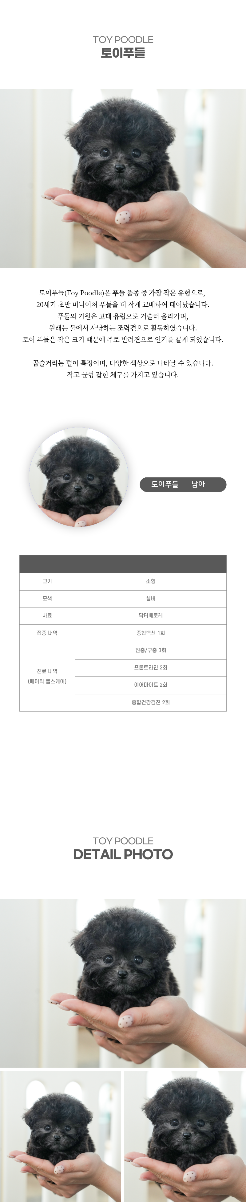 토이푸들_상세이미지_2